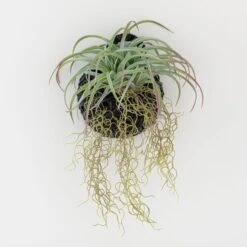 Artificial Hanging Grass In Black Hanging Wall Basket -Home Decor Shop 1000183204 alt02