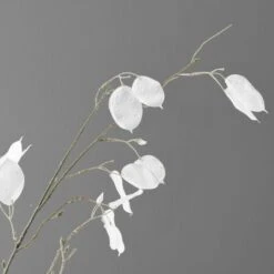 Artificial White Honesty Glitter Stem -Home Decor Shop 30632096 alt02
