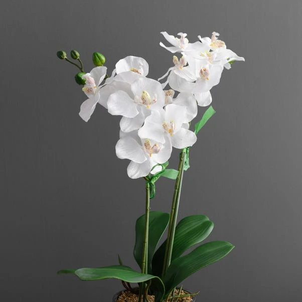 Artificial Orchid White In Silver Pot 2 Artificial Orchid White In Silver Pot - Image 2