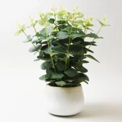 Artificial Eucalyptus In White Plant Pot -Home Decor Shop 30675307 alt02