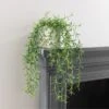 Artificial Trailing Plant In White Plant Pot