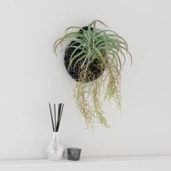 Artificial Hanging Grass In Black Hanging Wall Basket