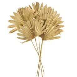 Dried Gold Sun Spear Bundle -Home Decor Shop 30730255 alt04