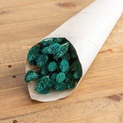 Dried Phalaris Bouquet 33 Dried Phalaris Bouquet -Home Decor Shop 30747116 alt01