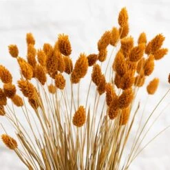 Dried Phalaris Bouquet 28 Dried Phalaris Bouquet -Home Decor Shop 30747117 alt02
