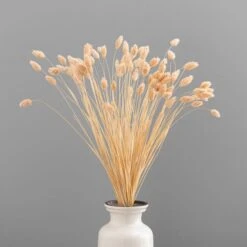 Dried Phalaris Bouquet 23 Dried Phalaris Bouquet -Home Decor Shop 30747118 alt03