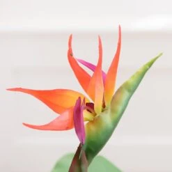 Artificial Bird Of Paradise Tree In Black Plant Pot -Home Decor Shop 30827283 alt02