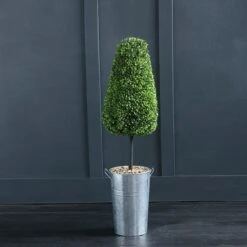 Artificial Conical Boxwood Topiary In Metal Plant Pot