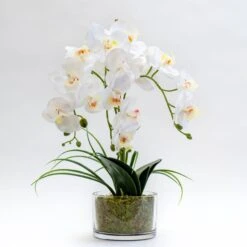 Artificial White Orchid In Glass Plant Pot -Home Decor Shop 30861405 alt02
