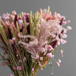 Dried Pink Phalaris Bouquet -Home Decor Shop 30864028 alt04