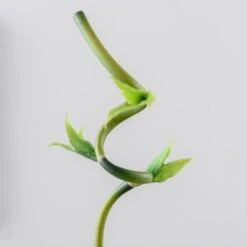 Artificial Lucky Bamboo Stem -Home Decor Shop 30864041 alt04