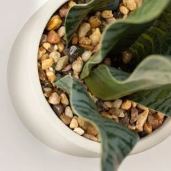 Artificial Sansevieria Plant In Cream Cement Plant Pot 5 Artificial Sansevieria Plant In Cream Cement Plant Pot -Home Decor Shop 30864287 alt02