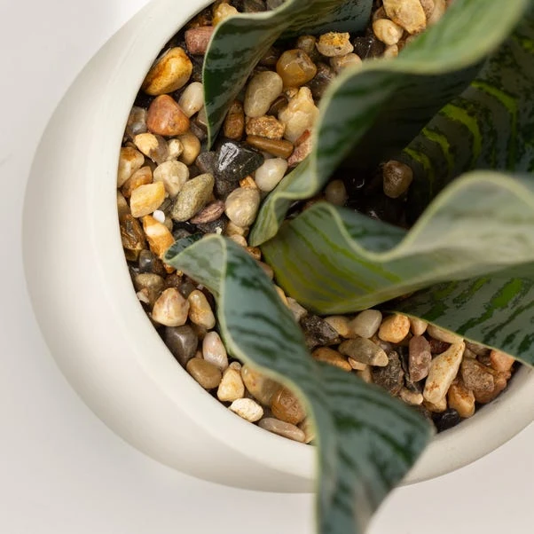 Artificial Sansevieria Plant In Cream Cement Plant Pot 3 Artificial Sansevieria Plant In Cream Cement Plant Pot - Image 3