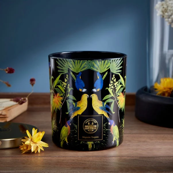 Majestic Tropics Birds Candle 1 Majestic Tropics Birds Candle
