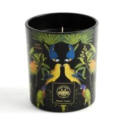Majestic Tropics Birds Candle 6 Majestic Tropics Birds Candle -Home Decor Shop 30864470 alt02