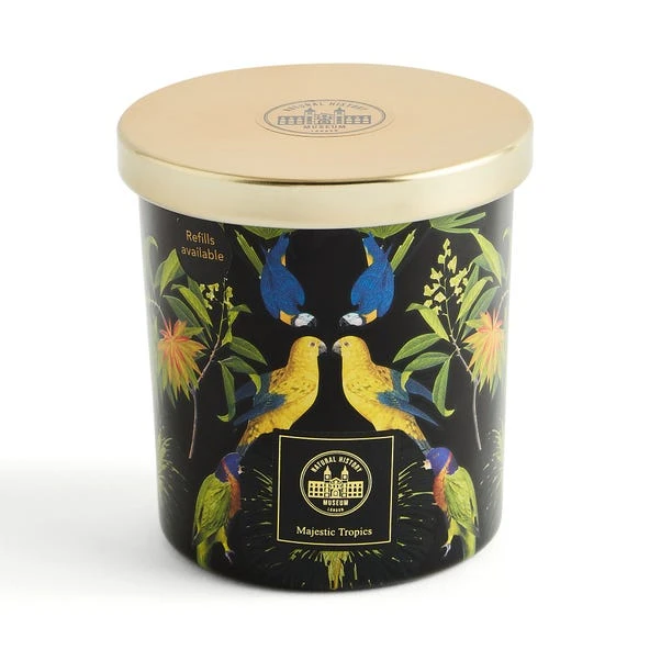 Majestic Tropics Birds Candle 4 Majestic Tropics Birds Candle - Image 4