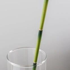 Artificial Lucky Bamboo Stem -Home Decor Shop 30870093 alt03