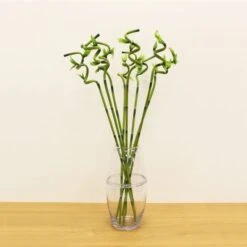 Artificial Lucky Bamboo Stem -Home Decor Shop 30870093 alt05