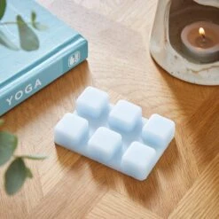 Set Of 6 Cotton And Blossom Wax Melts