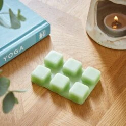 Set Of 6 Bergamot And Lime Wax Melts