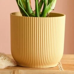 Swiss Cheese House Plant In Elho Pot -Home Decor Shop 30875284 alt02