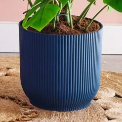 Swiss Cheese House Plant In Elho Pot -Home Decor Shop 30875295 alt02