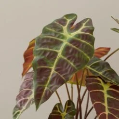 Artificial Alocasia In Ribbed Cream Ceramic Plant Pot -Home Decor Shop 30894985 alt02