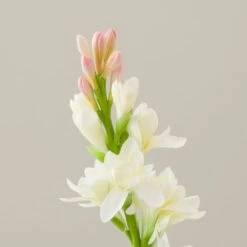 Artificial White Tuberose Stem 5 Artificial White Tuberose Stem -Home Decor Shop 30897549 alt02