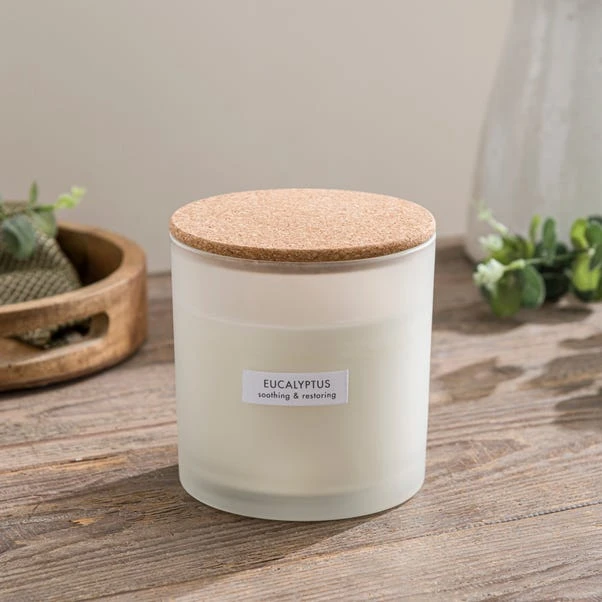 Eucalyptus Multi Wick Candle 3 Eucalyptus Multi Wick Candle - Image 3