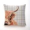 Highland Cow White Cushion