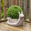 Artificial Boxwood Topiary In Snail Plant Pot