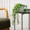 Artificial Trailing Eucalyptus In Black Plastic Plant Pot