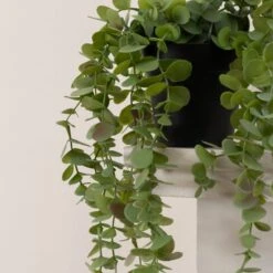 Artificial Trailing Eucalyptus In Black Plastic Plant Pot 5 Artificial Trailing Eucalyptus In Black Plastic Plant Pot -Home Decor Shop 30913527 alt02