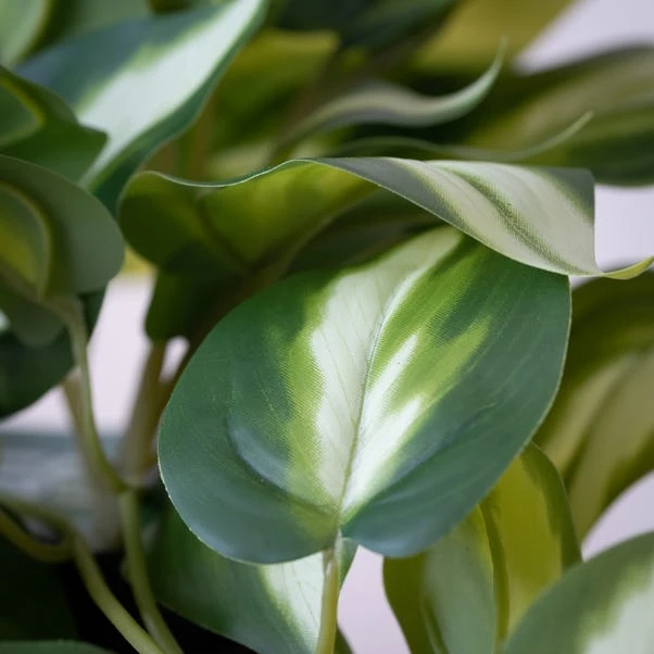 Artificial Real Touch Trailing Silver Vine In Black Plastic Plant Pot 3 Artificial Real Touch Trailing Silver Vine In Black Plastic Plant Pot - Image 3