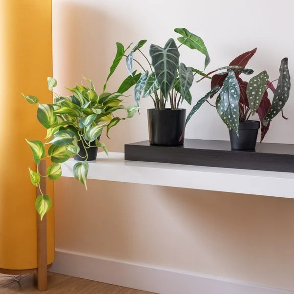 Artificial Real Touch Trailing Silver Vine In Black Plastic Plant Pot 4 Artificial Real Touch Trailing Silver Vine In Black Plastic Plant Pot - Image 4