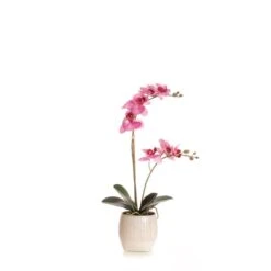 Artificial Pink Phalaenopsis Orchid In Textured Ceramic Plant Pot -Home Decor Shop 30913544 alt03