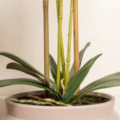 Artificial White Phalaenopsis Orchid In Taupe Ceramic Plant Pot -Home Decor Shop 30913545 alt02