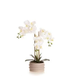 Artificial White Phalaenopsis Orchid In Taupe Ceramic Plant Pot -Home Decor Shop 30913545 alt03