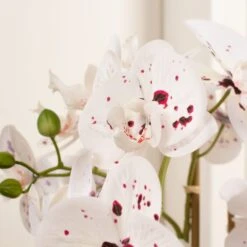 Artificial White Speckled Orchid In Beige Ceramic Plant Pot -Home Decor Shop 30913547 alt01
