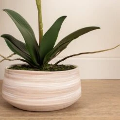 Artificial White Speckled Orchid In Beige Ceramic Plant Pot -Home Decor Shop 30913548 alt02