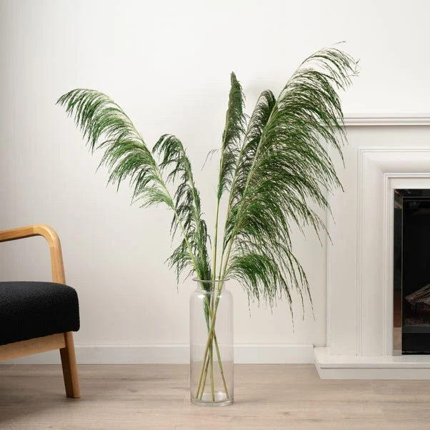 Dried Pampas Grass Bundle 3 Dried Pampas Grass Bundle - Image 3