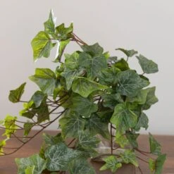Artificial Ivy Trailing Plant 7 Artificial Ivy Trailing Plant -Home Decor Shop 30918294 alt02