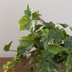 Artificial Ivy Trailing Plant 8 Artificial Ivy Trailing Plant -Home Decor Shop 30918294 alt03