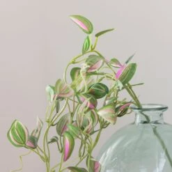 Artificial Tradescantia Vine Stem 11 Artificial Tradescantia Vine Stem -Home Decor Shop 30918297 alt02