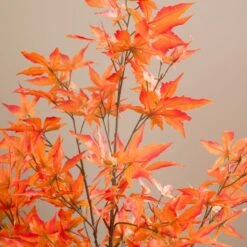 Artificial Maple Tree In Terracotta Plant Pot -Home Decor Shop 30918341 alt03