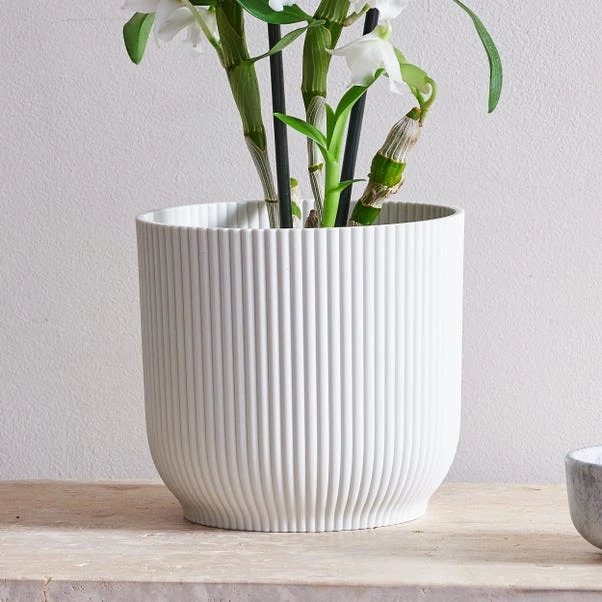 Dendrobium Bamboo Orchid House Plant In Vibes Pot 7 Dendrobium Bamboo Orchid House Plant In Vibes Pot - Image 7