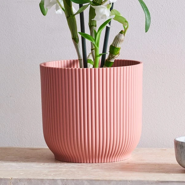 Dendrobium Bamboo Orchid House Plant In Vibes Pot 15 Dendrobium Bamboo Orchid House Plant In Vibes Pot - Image 15