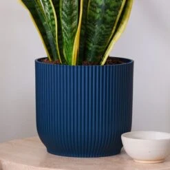 Snake House Plant In Elho Pot -Home Decor Shop 30920755 alt02