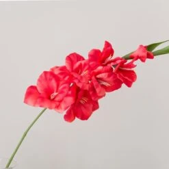 Artificial Coral Gladioli Stem -Home Decor Shop 30922998 alt02