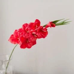 Artificial Coral Gladioli Stem -Home Decor Shop 30922998 alt03